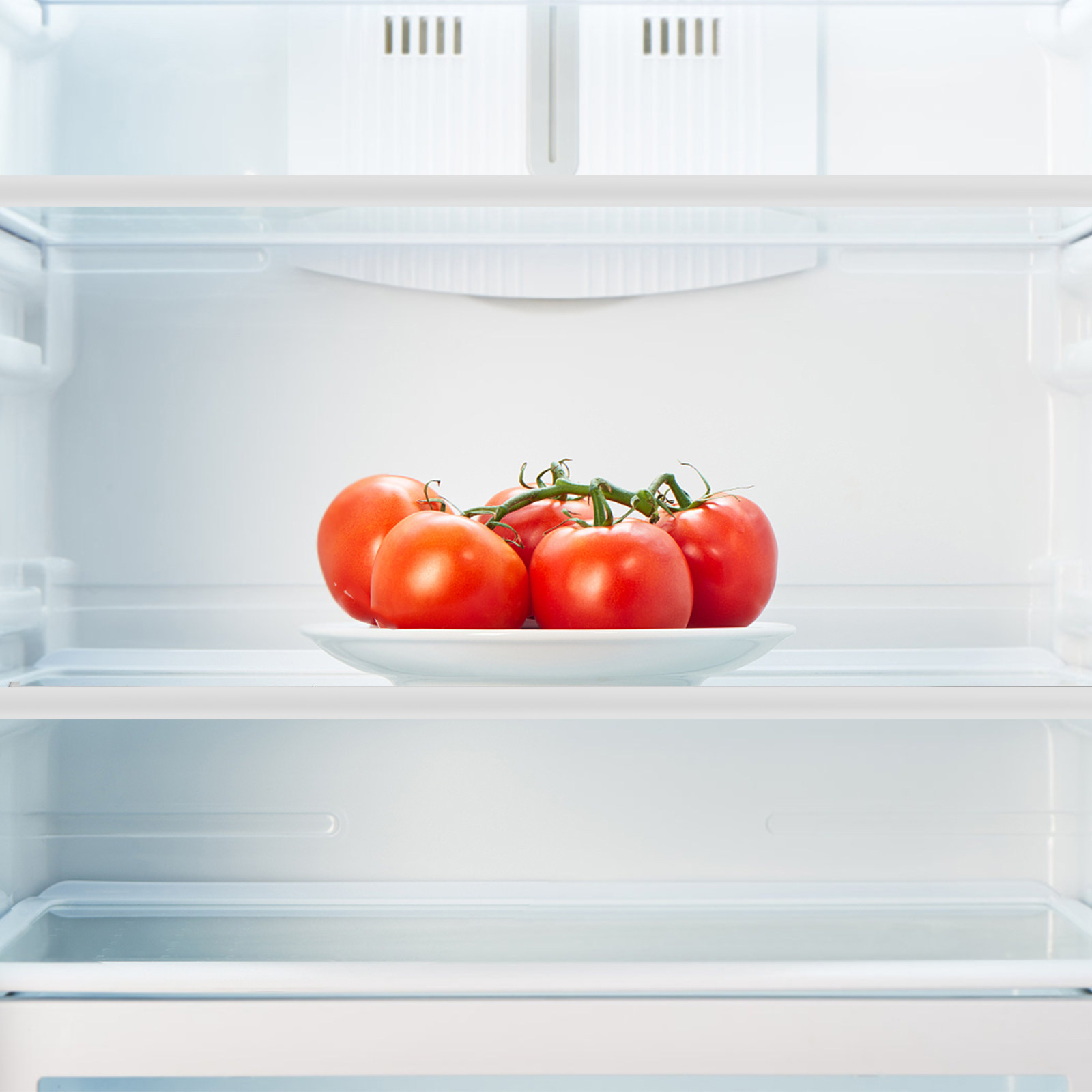 Tempered Glass Fridge Divider  - Food Storage Dividers review and price