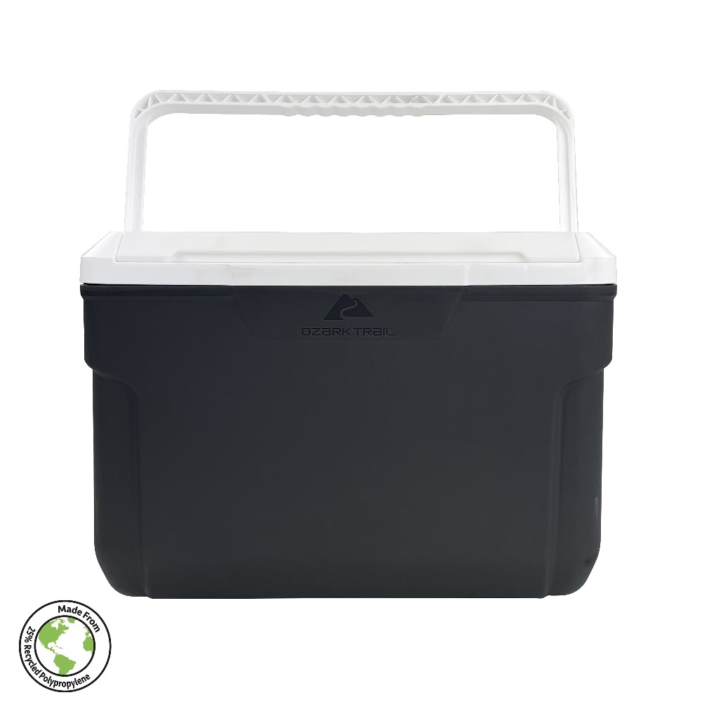 Insulated Hard-Sided Cooler 10 - Food Storage Quart Containers review and price