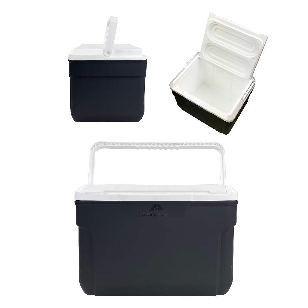 Insulated Hard-Sided Cooler 10 - Food Storage Quart Containers review and price