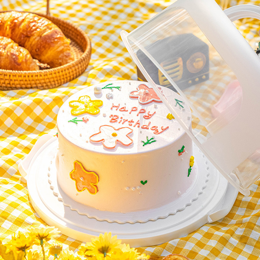 Cake Storage Box 10 Inch Round - Food Storage Plastic Boxes review and price