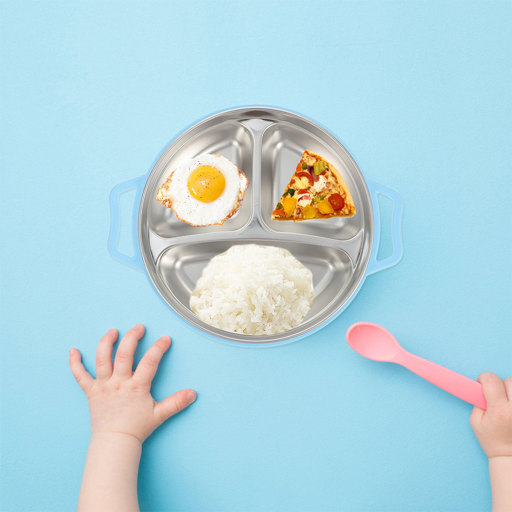 Divided Food Stainless Steel K - Food Storage Dividers review and price