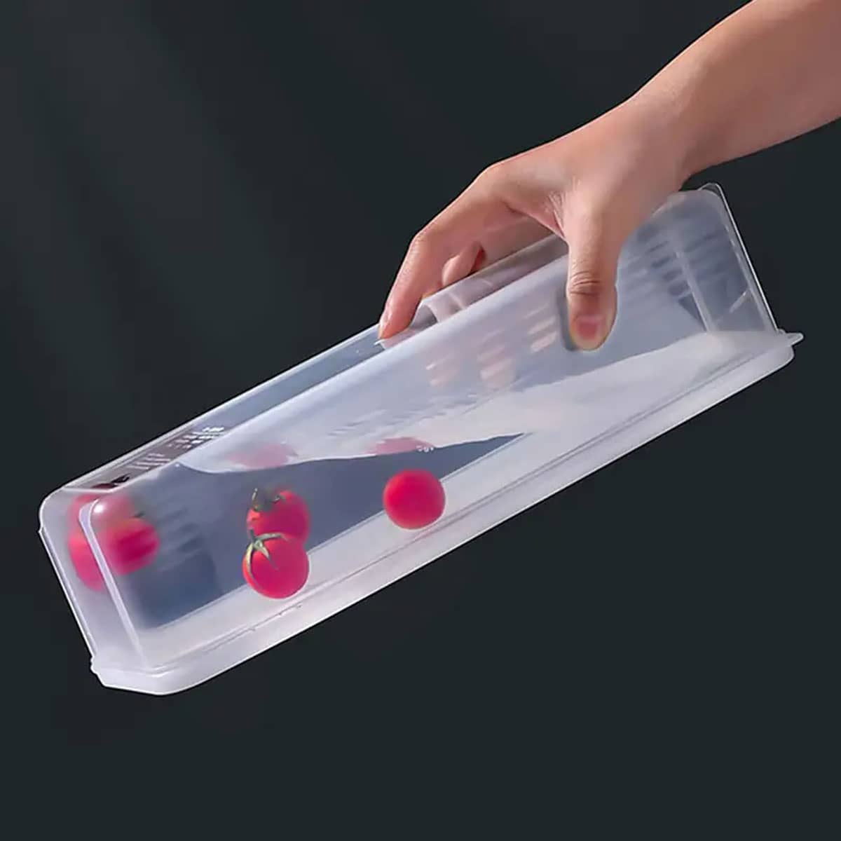 1 Plastic Transparent Storage  - Food Storage Plastic Boxes review and price